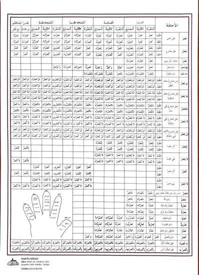 Emsile Bina Şeması