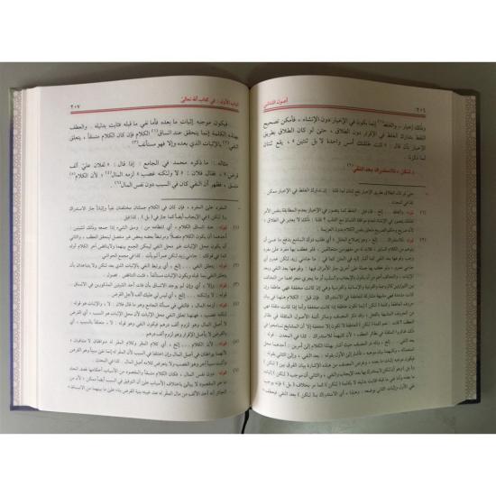 Usuluş Şaşi (Leknevi Tahkikli)