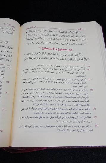 Mülteka Arapça Yeni Dizgi