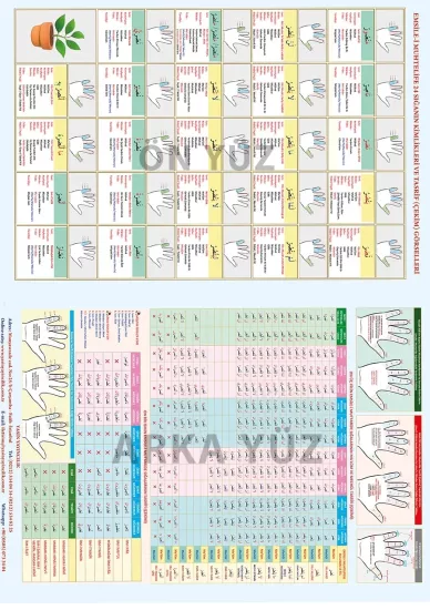 Sarfın Anahtarı 2 Cilt Takım Şema Hediyeli