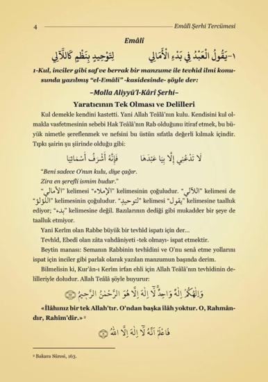 Şerhul-Emâlî Tercümesi (Kırık Manalı - İzahlı)